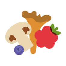 Грибы и ягоды