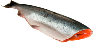 Горбуша потрошеная, без головы, 0,8 - 1,6 кг