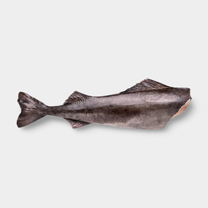 Угольная рыба, 0,9 - 1,5 кг