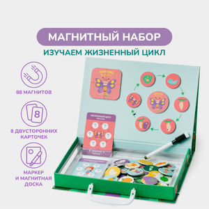 Магнитный набор «Жизненный цикл»