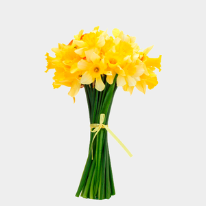 Нарциссы, букет из 15 цветов