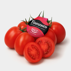 Томаты «Фламенко» сливовидные красные на ветке Томаты «Фламенко» сливовидные красные на ветке