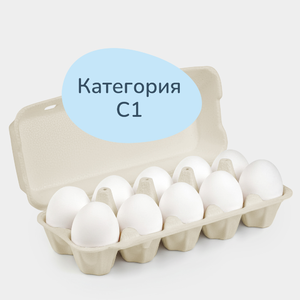 Яйцо куриное С1