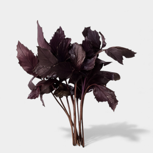 Базилик красный, 30 г