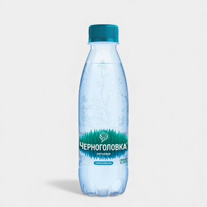 Вода негазированная «Черноголовка», 250 мл Вода негазированная «Черноголовка», 250 мл