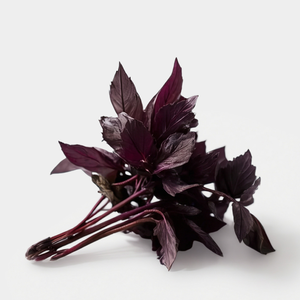 Базилик красный, 30 г