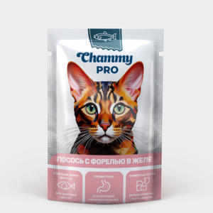 Корм для кошек «Chammy PRO» с лососем и форелью в желе, 85 г Корм для кошек «Chammy PRO» с лососем и форелью в желе, 85 г