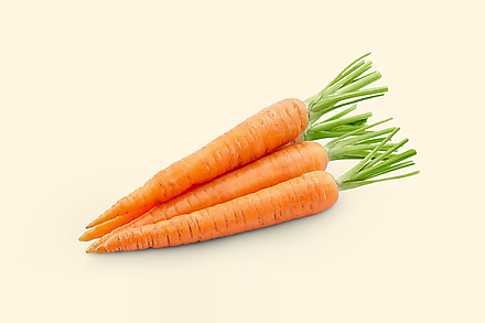 Морковь Свежий урожай