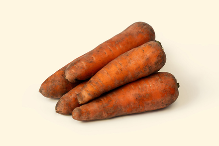 Морковь Свежий урожай