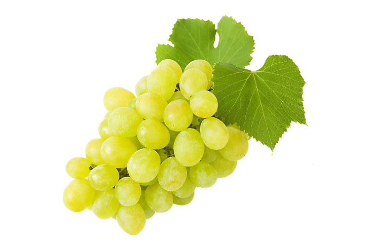 Виноград белый
