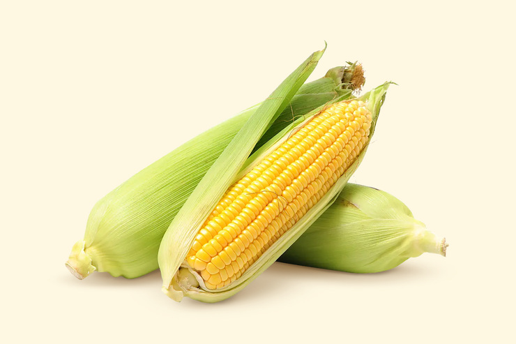 Кукуруза свежая, 1 шт
