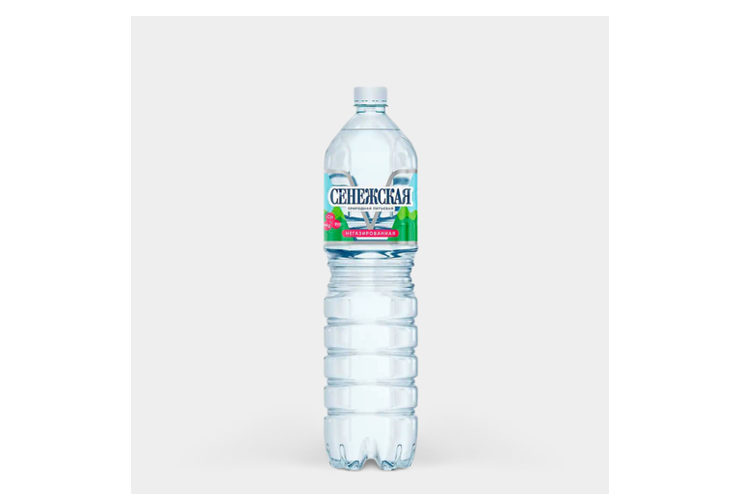 Вода питьевая «Сенежская» негазированная, 1,5 л – купить по приятной ...