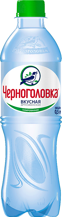 Вода питьевая «Черноголовка» газированная, 500 мл – купить по приятной ...