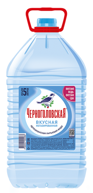 Вода питьевая «Напитки из Черноголовки», 5 л